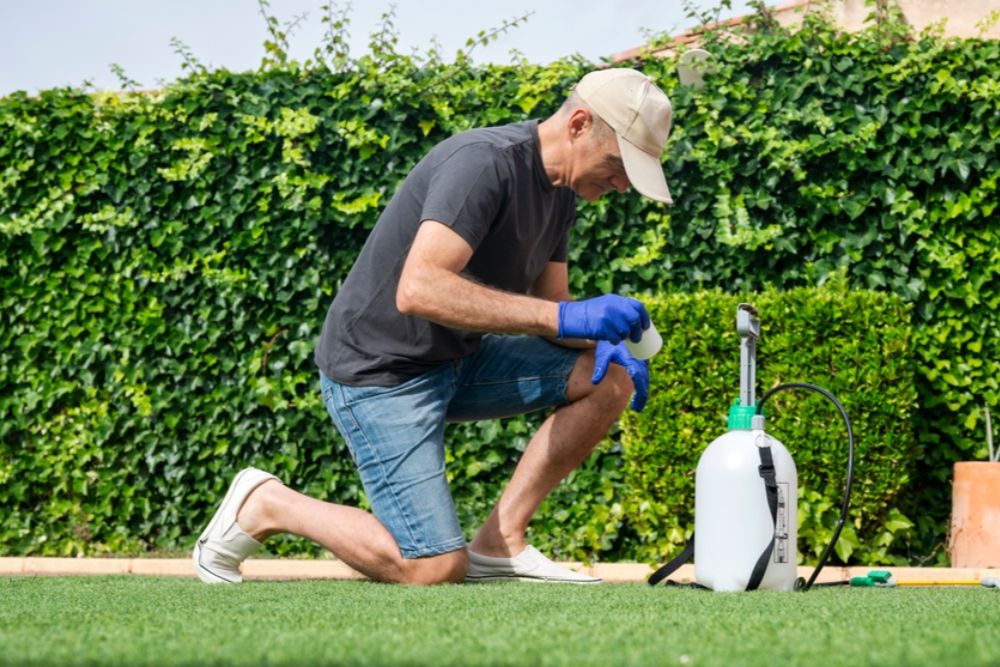 Affordable Ways to Keep Pests Out of Your Home